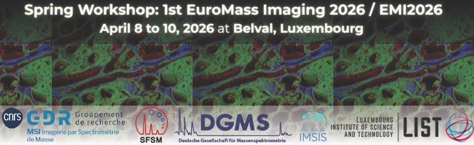 Spring Workshop: 1st EuroMass Imaging 2026>